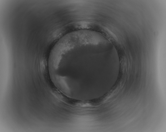 X0000111440747200907201128