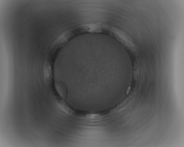 X0000111440748200907201128