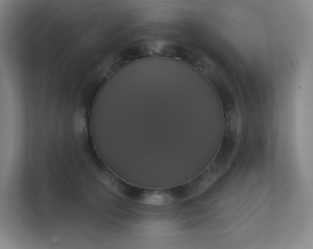 X0000111440754200907201128