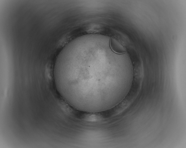 X0000111440755200907201128