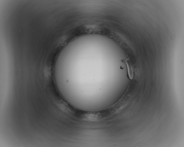 X0000111440756200907201128