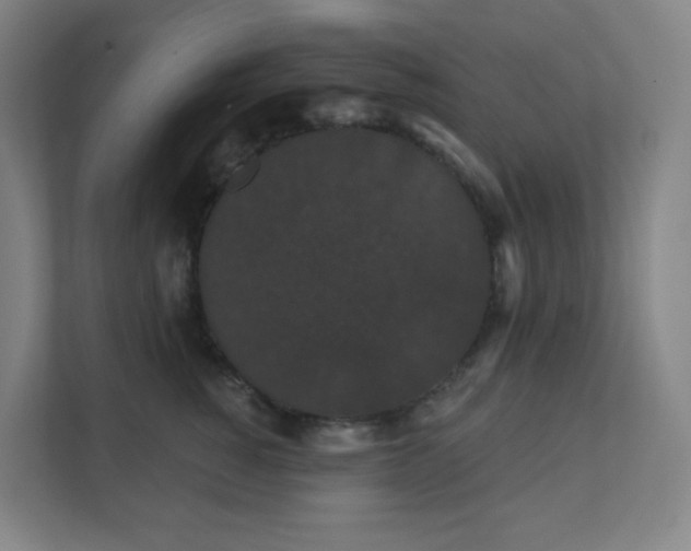 X0000111440760200907201128