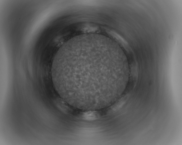 X0000111440761200907201128