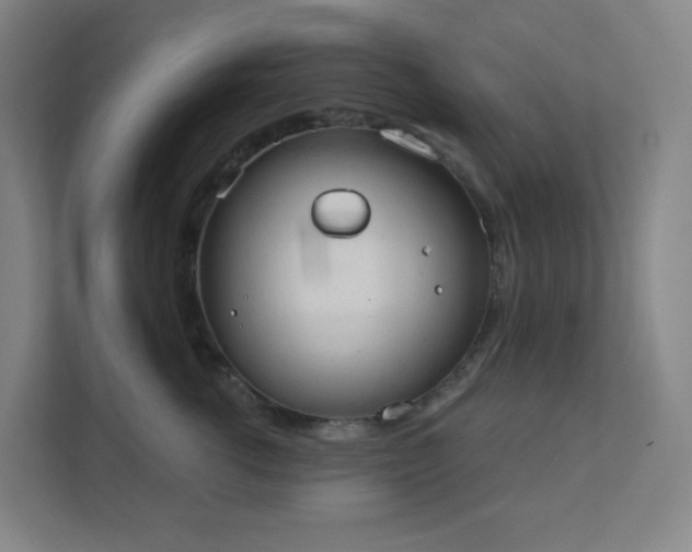 X0000111440762200907201128