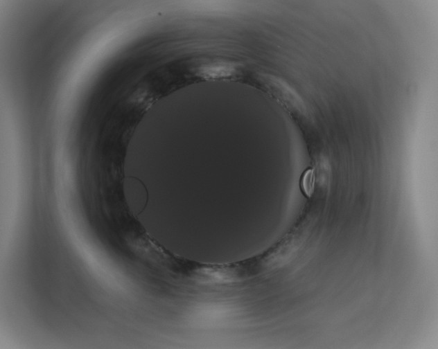 X0000111440763200907201128