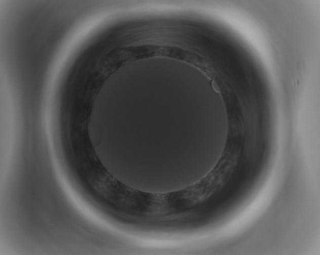 X0000111440766200907201129