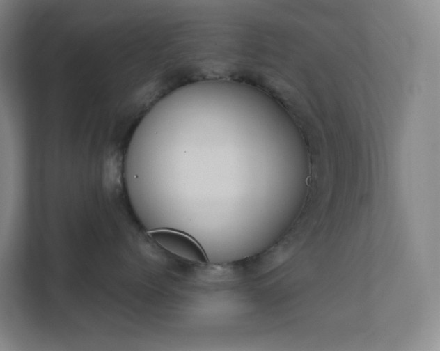 X0000111440768200907201129