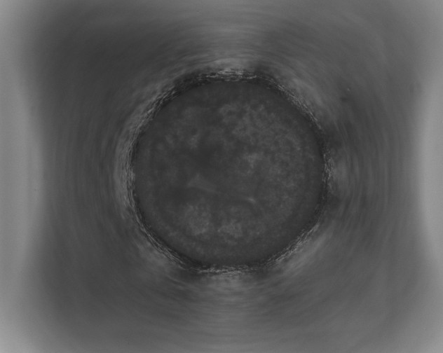 X0000111440769200907201128