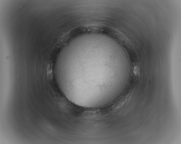 X0000111440771200907201128