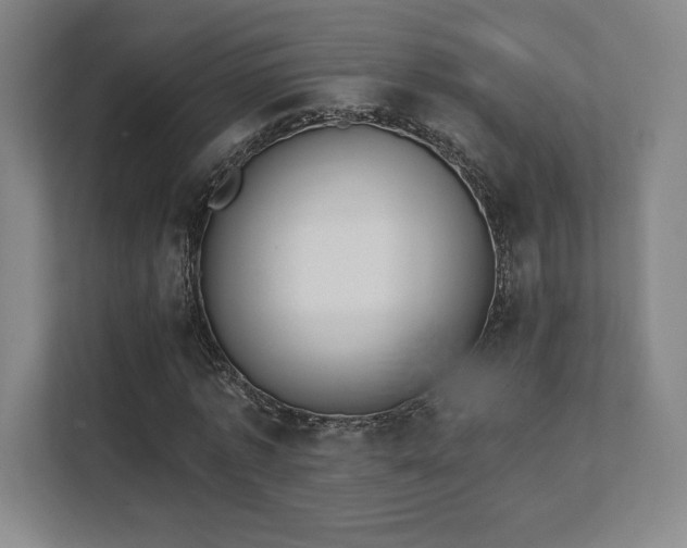 X0000111440773200907201128