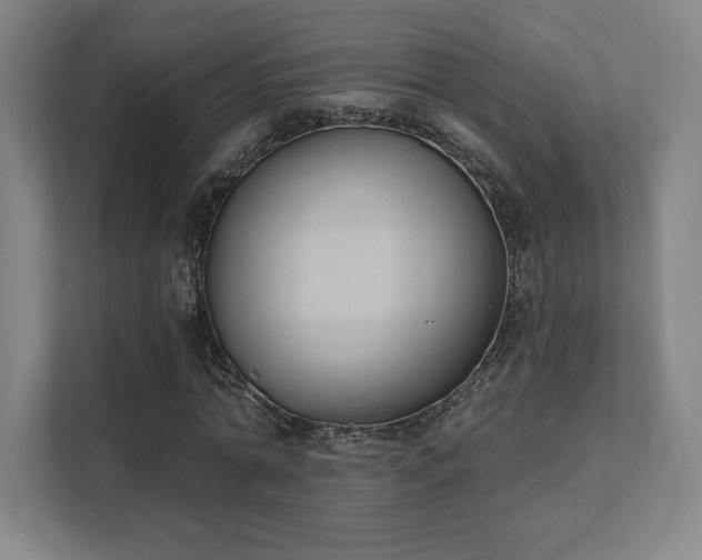 X0000111440774200907201128