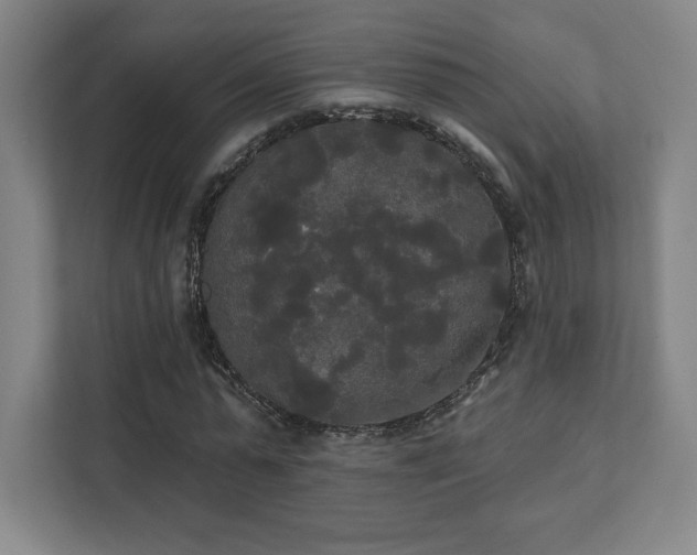 X0000111440775200907201128