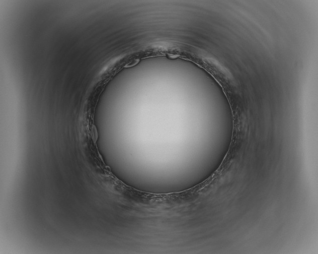 X0000111440776200907201128