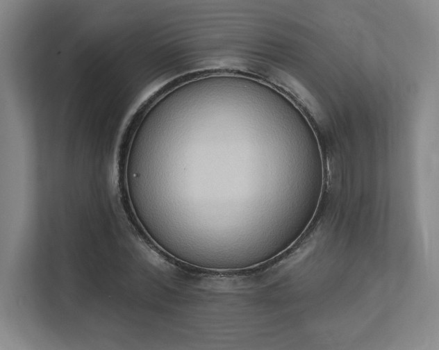 X0000111440780200907201128