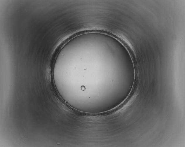 X0000111440781200907201128