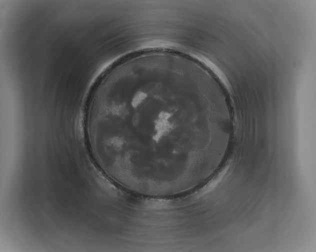 X0000111440783200907201128