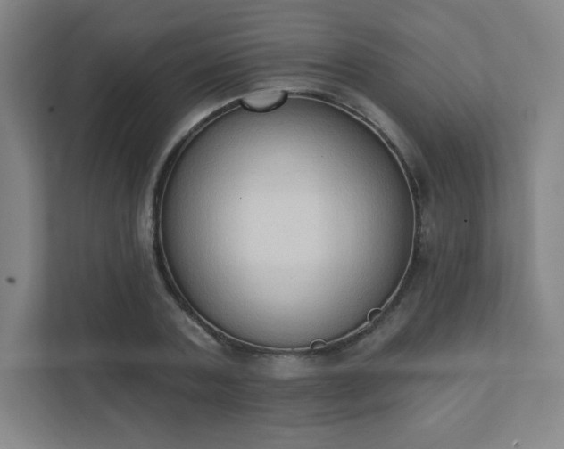 X0000111440787200907201128