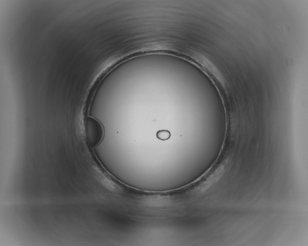 X0000111440789200907201128