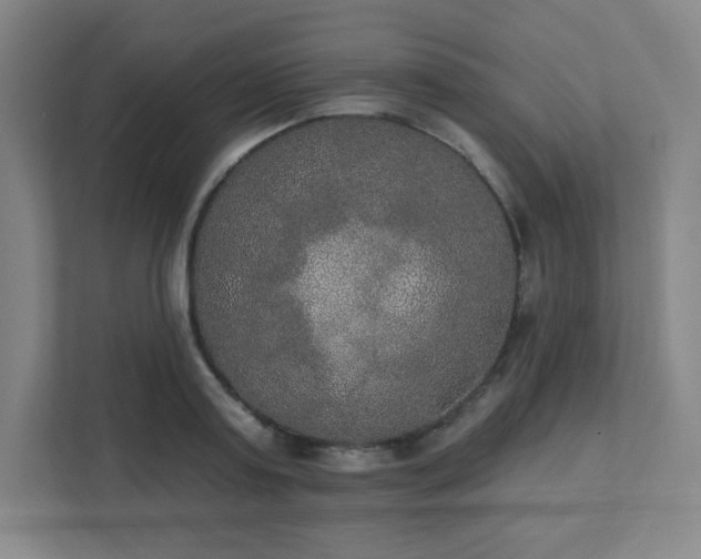 X0000111440795200907201128