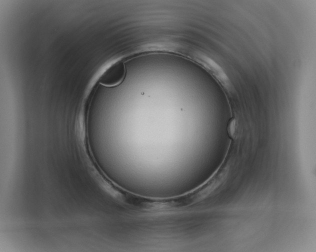 X0000111440796200907201128