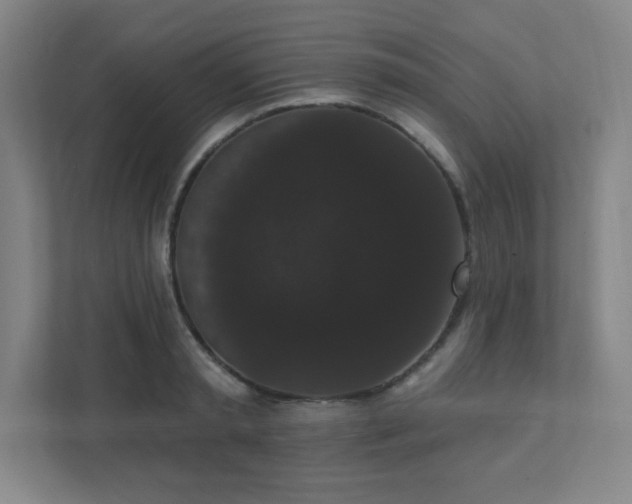 X0000111440797200907201128