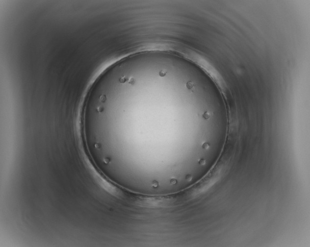 X0000111440803200907201127