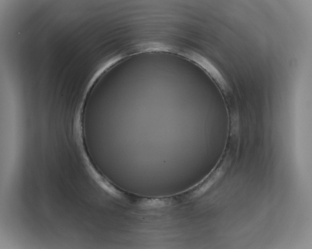 X0000111440806200907201127