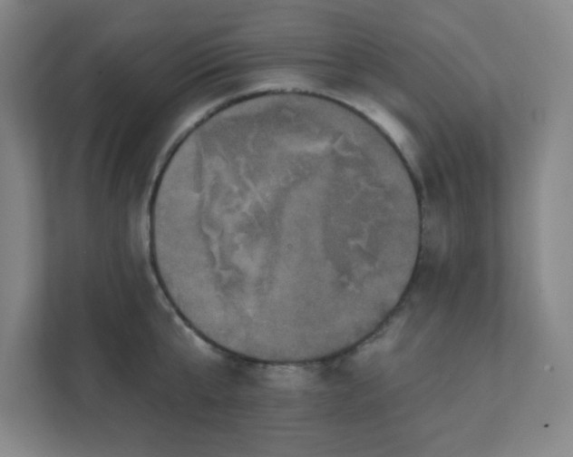 X0000111440807200907201127