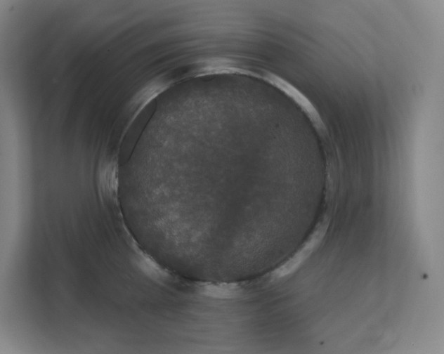 X0000111440809200907201127