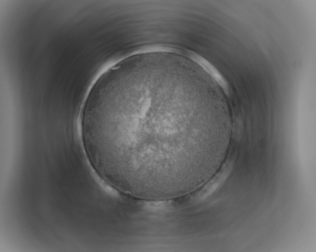 X0000111440813200907201127