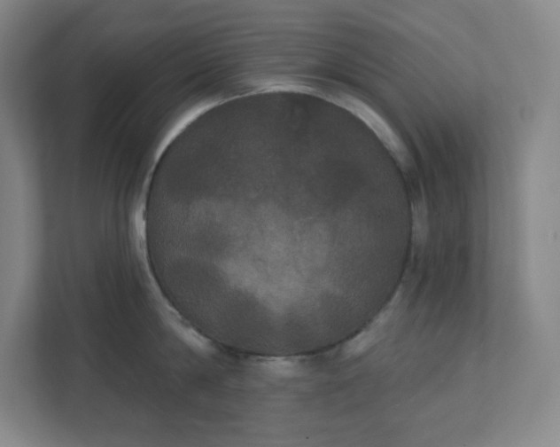 X0000111440814200907201127