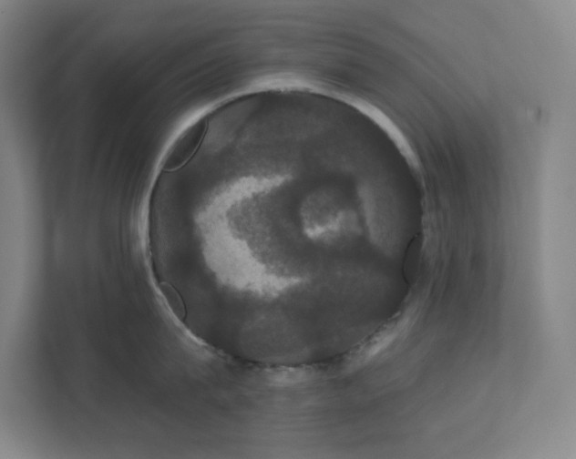 X0000111440815200907201127