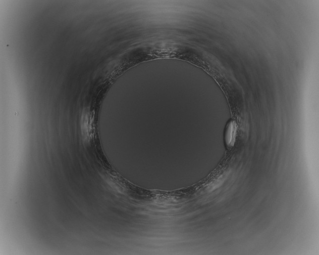 X0000111440818200907201127