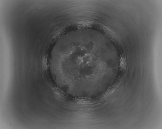 X0000111440819200907201127