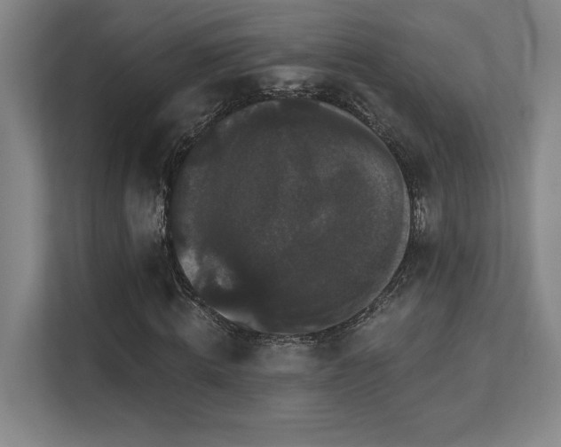 X0000111440820200907201127