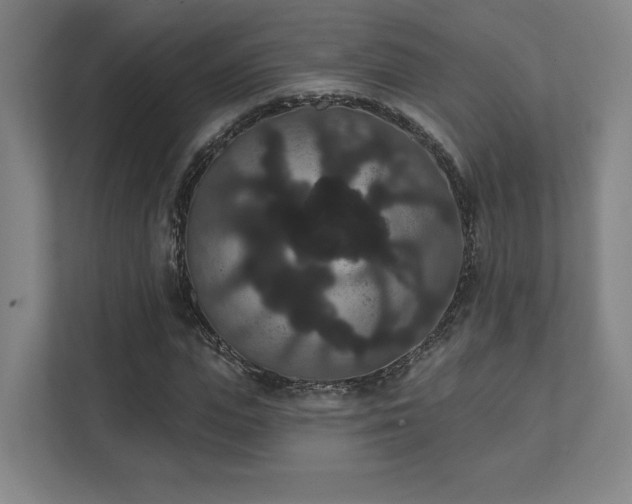 X0000111440823200907201127