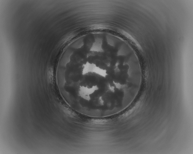 X0000111440825200907201127