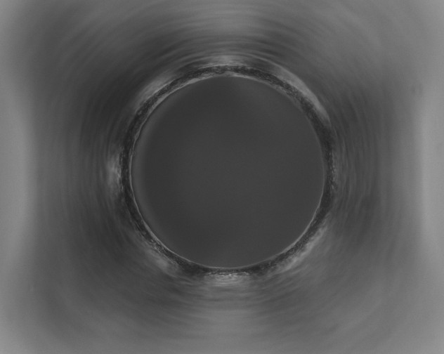 X0000111440826200907201127