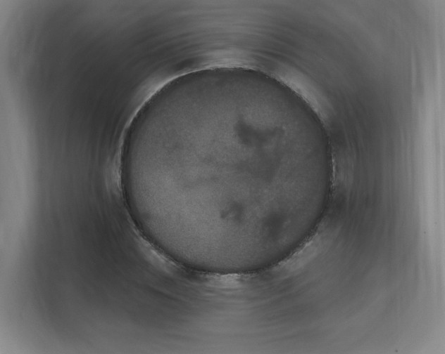 X0000111440828200907201127