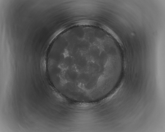 X0000111440829200907201127