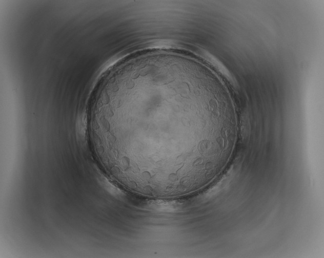 X0000111440831200907201127