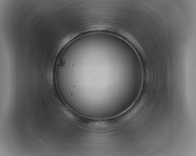 X0000111440834200907201127