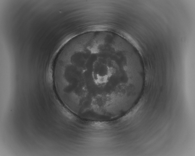 X0000111440835200907201127