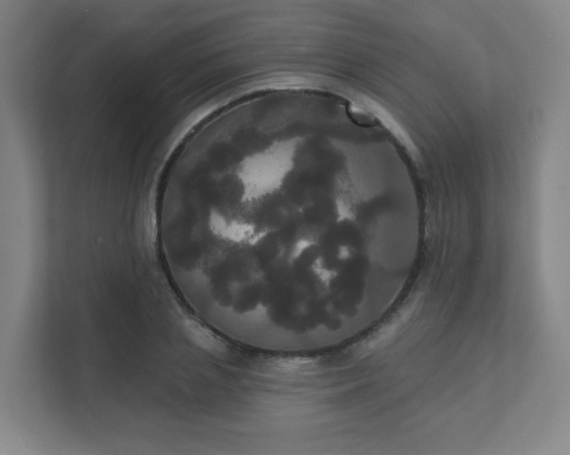 X0000111440837200907201127