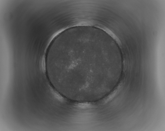 X0000111440838200907201127