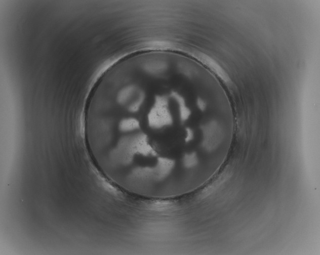 X0000111440839200907201127