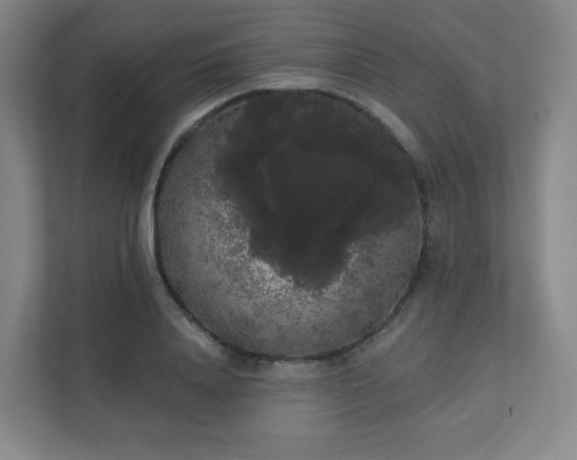 X0000111440840200907201127