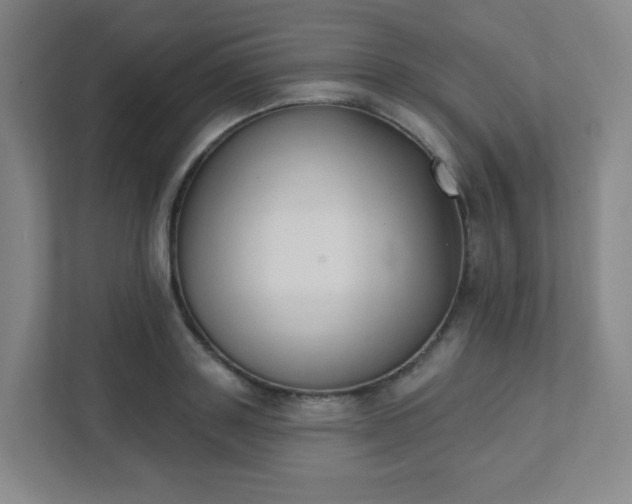 X0000111440843200907201127