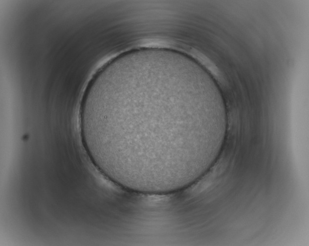 X0000111440848200907201127