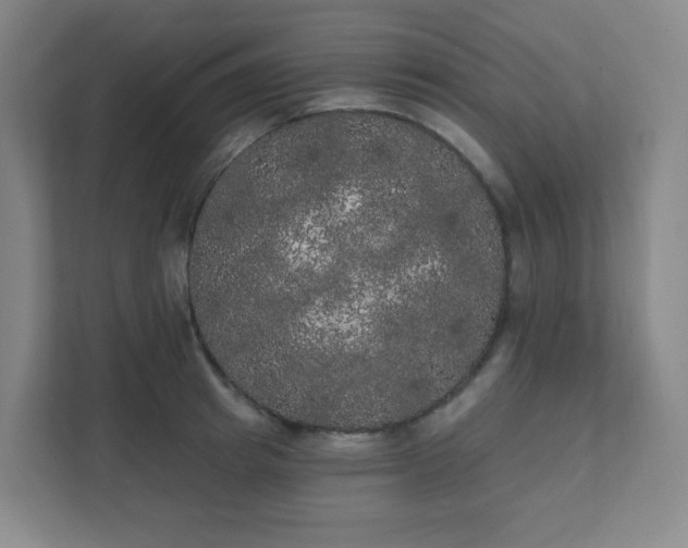 X0000111440849200907201127